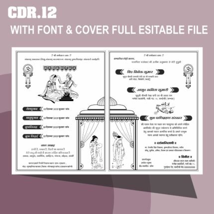 Fancy indian sadi card