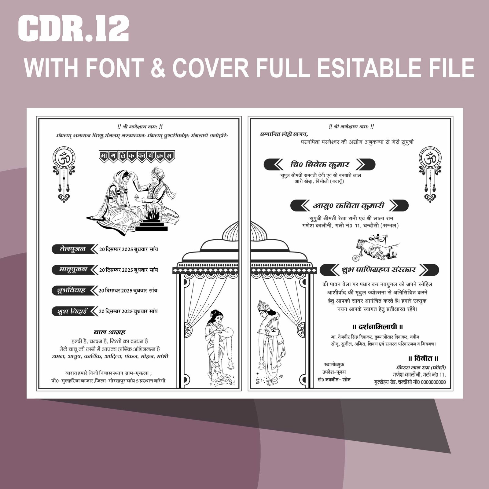 Fancy indian sadi card